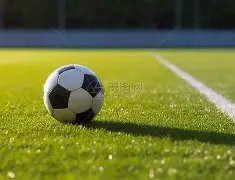 独家揭秘,双色球,期红球号码,重庆体彩,重庆体彩网,重庆体彩网官网,体育彩票,体彩大乐透,竞彩足球,体彩公益