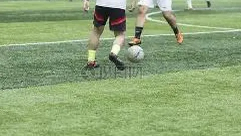 【神秘白猫解码】双色球第2025137期独家攻略：三胆绝杀组合11、20、22，揭晓幸运密码！