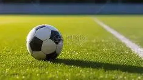 神秘之门：探索403权限禁入之谜