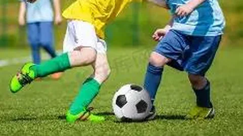 【独家秘笈】大乐透26014期神级复式15选号攻略，定胆专家带你稳中求胜！